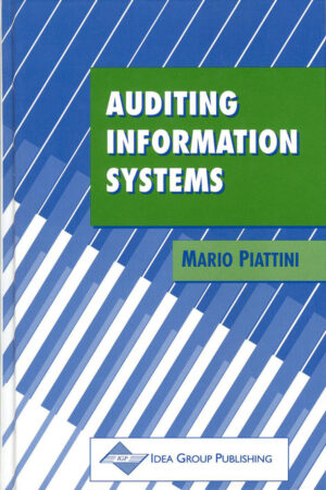 Auditing Information Systems